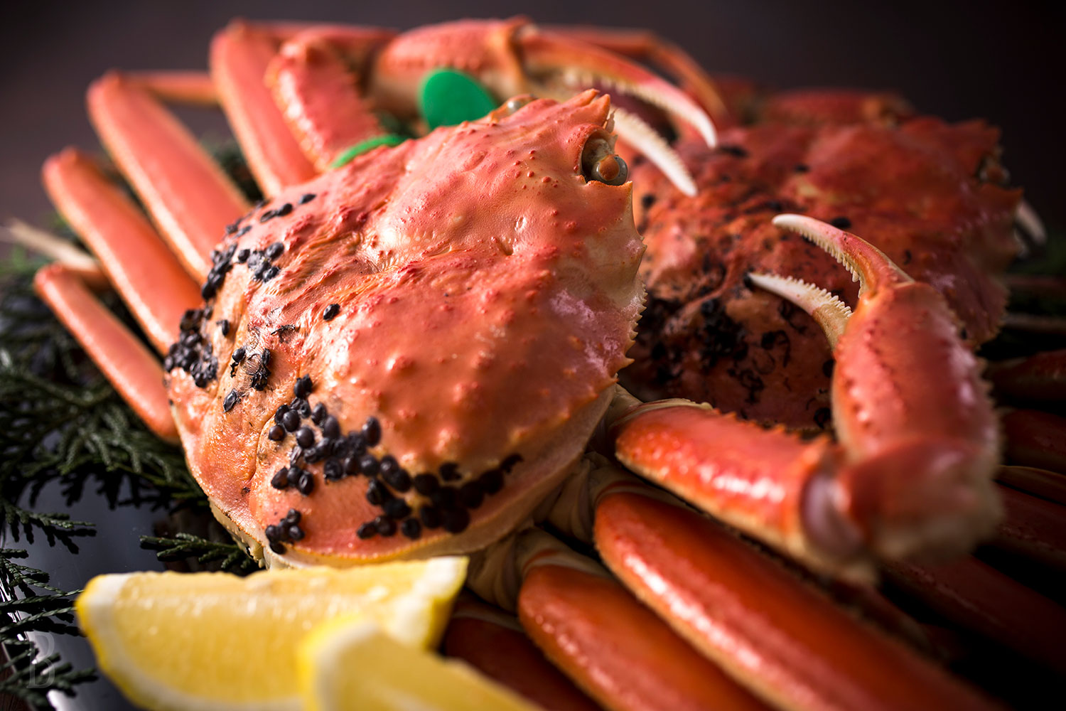 鳥取カニ鍋ディナー